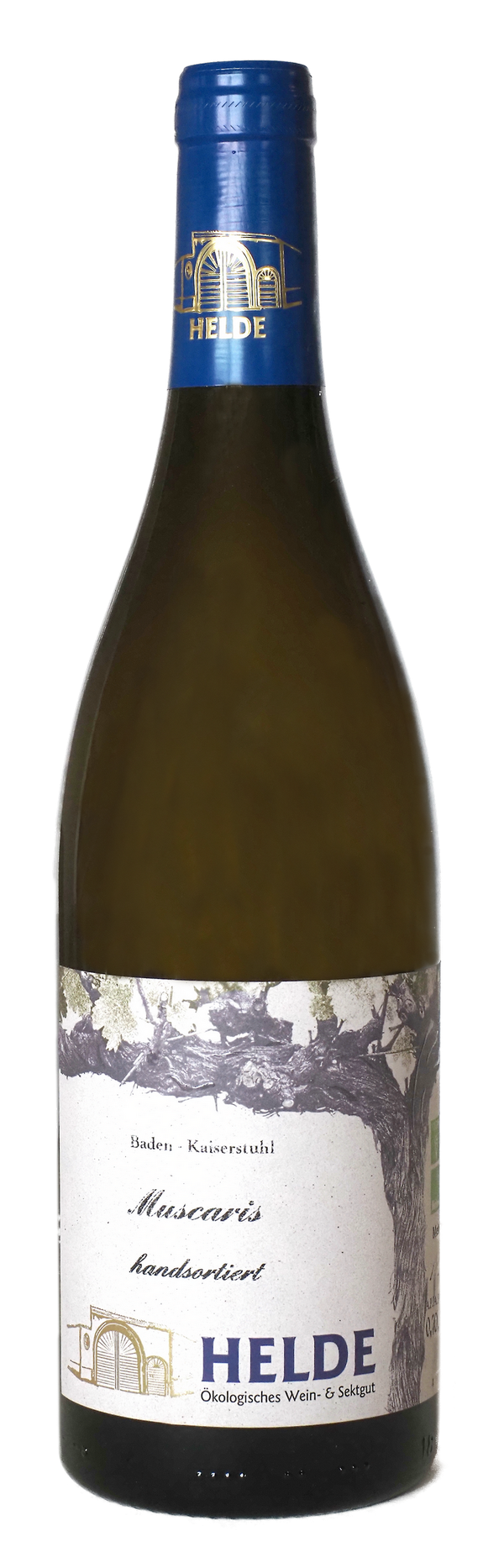 Muscaris Auslese Edelsüß