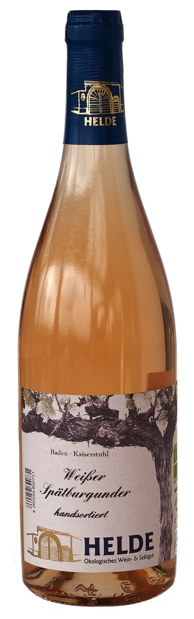 Spätburgunder weiß gekeltert