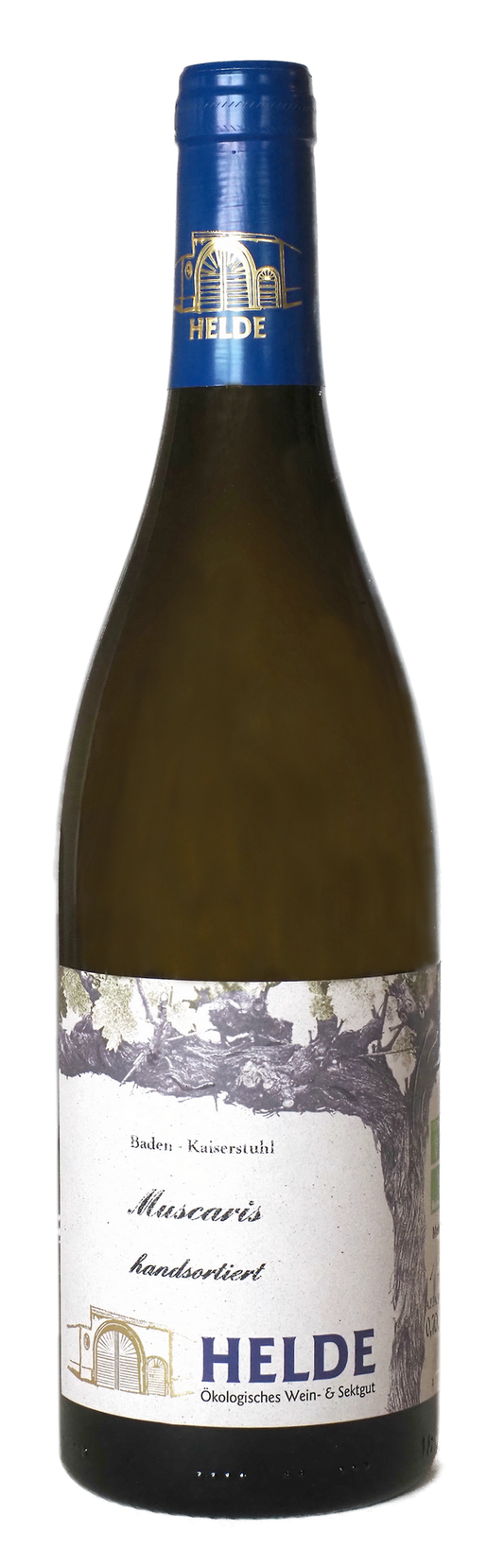 Muscaris Auslese Edelsüß