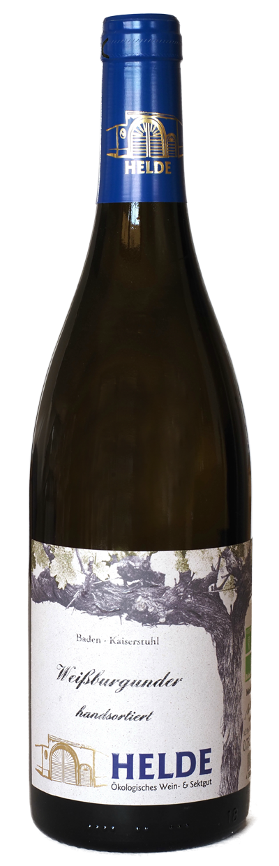 Weißburgunder handsortiert